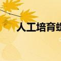 人工培育螺旋藻含B12水平与牛肉相当