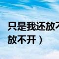 只是我还放不开对你太依赖什么歌（只是我还放不开）