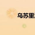 乌苏里江发生2024年第3号洪水