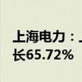 上海电力：上半年净利润13.27亿元，同比增长65.72%