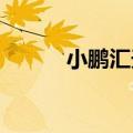 小鹏汇天成立飞行汽车制造公司