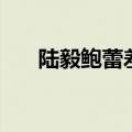 陆毅鲍蕾差几岁（陆毅鲍蕾为何离婚）