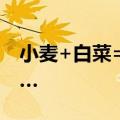 小麦+白菜=苹果？背后的故事好嗑又好哭……