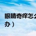 眼睛奇痒怎么办呢抹啥眼药水（眼睛奇痒怎么办）