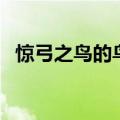 惊弓之鸟的鸟应该是一只（惊弓之鸟的鸟）