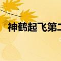 神鹤起飞第二套完整版（神鹤起飞第二套）