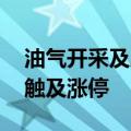 油气开采及服务板块震荡走高 仁智股份一度触及涨停