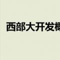 西部大开发概念股盘初走高 西部建设2连板