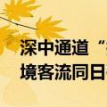 深中通道“拉流”效应明显 深圳四口岸出入境客流同日破纪录