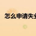 怎么申请失业金（失业金是一次性领取吗）