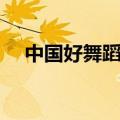 中国好舞蹈冠军名单（中国好舞蹈冠军）