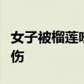 女子被榴莲咬脚杀伤力满级：用脚踢榴莲被划伤