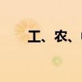 工、农、中、建四大行股价再创新高