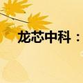 龙芯中科：2024年上半年净亏损2.38亿