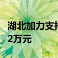 湖北加力支持以旧换新汽车报废更新最高补贴2万元