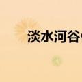 淡水河谷任命CFO皮门塔为下任CEO