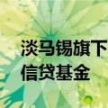 淡马锡旗下狮诚控股国际筹集13亿美元私人信贷基金