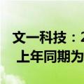 文一科技：2024年上半年净利润803.39万元 上年同期为-9949.34万元