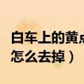 白车上的黄点怎么去掉小妙招（白车上的黄点怎么去掉）
