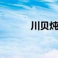 川贝炖白萝卜功效（萝卜功效）