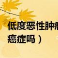 低度恶性肿瘤能永久治愈吗（低度恶性肿瘤是癌症吗）