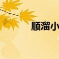 顺溜小时候图片（小顺溜童车）