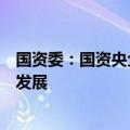 国资委：国资央企系统要大力促进中央企业与西部地区融合发展