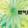 燃气板块走高 洪通燃气涨停