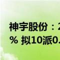 神宇股份：2024年上半年净利润增长175.19% 拟10派0.7元