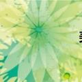 美元指数27日下跌