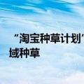 “淘宝种草计划”正式发布：全面接入主流内容媒体 实现全域种草