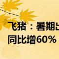 飞猪：暑期出境自由行占比超八成，国内租车同比增60%
