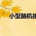 小型脑机接口能将大脑信号直接变文本