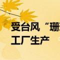 受台风“珊珊”影响 丰田汽车暂停日本所有工厂生产