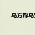 乌方称乌军使用F-16战机对抗俄空袭