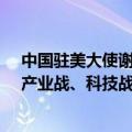 中国驻美大使谢锋：甩锅推责解决不了问题，诉诸贸易战、产业战、科技战更不会有赢家