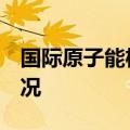 国际原子能机构9月会议将讨论两座核电站情况
