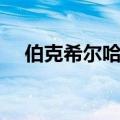 伯克希尔哈撒韦市值首次突破1万亿美元