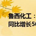 鲁西化工：2024上半年净利润11.71亿元，同比增长503.72%