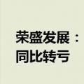 荣盛发展：2024年上半年净利润降-3.17亿 同比转亏