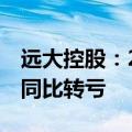 远大控股：2024上半年净亏损4035.88万元 同比转亏