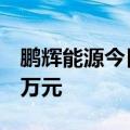 鹏辉能源今日涨停 方新侠席位净买入5506.4万元