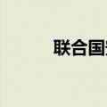 联合国安理会延长联黎部队任期