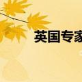 英国专家：乌克兰冲突已到转折点