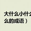 大什么小什么的成语有哪些词语（大什么小什么的成语）
