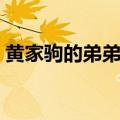 黄家驹的弟弟黄家强的照片（黄家驹的弟弟）