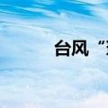台风“珊珊”在日本鹿儿岛登陆