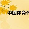 中国体育代表团亮相巴黎残奥会开幕式