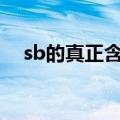 sb的真正含义是什么意思（傻逼的意思）