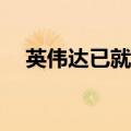 英伟达已就参与OpenAI融资进行了讨论